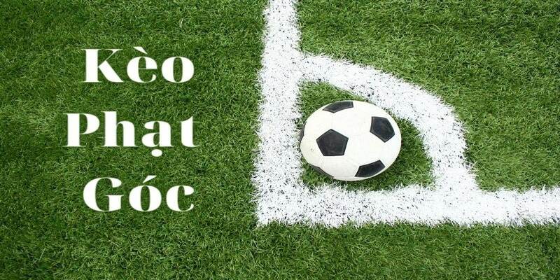 Kinh nghiệm đánh phạt góc theo từng trận đấu